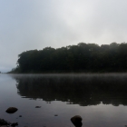 I woke up around 7 and the river was covered in a misty fog.  Very cool looking.